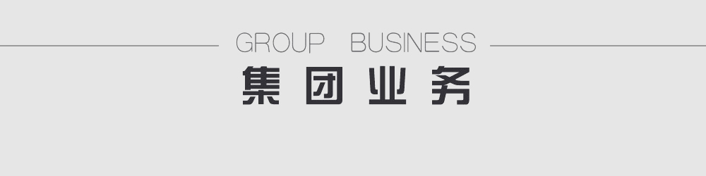 集团业务